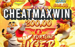 CheatMaxwin